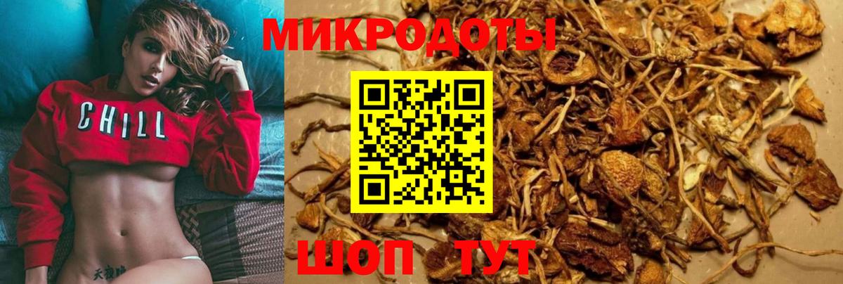 Галлюциногенные грибы Psilocybine cubensis  Псилоцибиновые грибы прущие грибы  где купить наркоту  Краснознаменск  Вход с VPN 